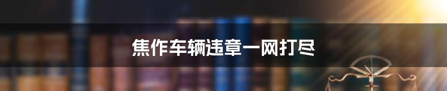 焦作车辆违章一网打尽