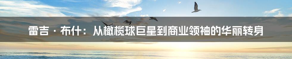 雷吉·布什:从橄榄球巨星到商业领袖的华丽转身
