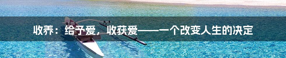 收养:给予爱,收获爱——一个改变人生的决定