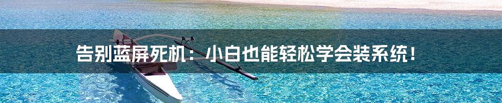 告别蓝屏死机:小白也能轻松学会装系统!