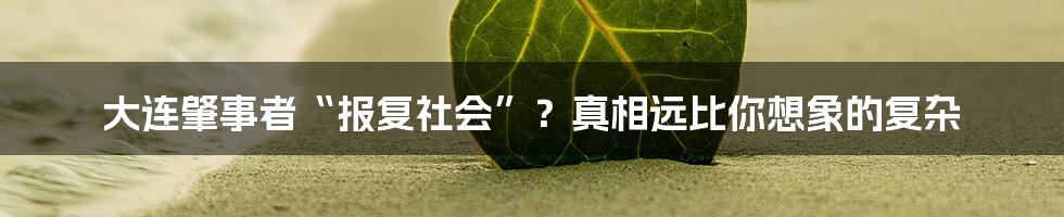 大连肇事者“报复社会”？真相远比你想象的复杂