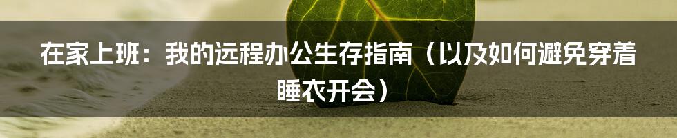 在家上班:我的远程办公生存指南(以及如何避免穿着睡衣开会)