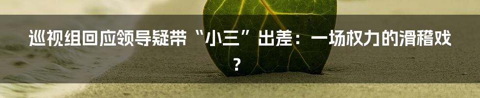 巡视组回应领导疑带“小三”出差:一场权力的滑稽戏?