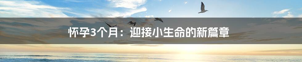 怀孕3个月:迎接小生命的新篇章
