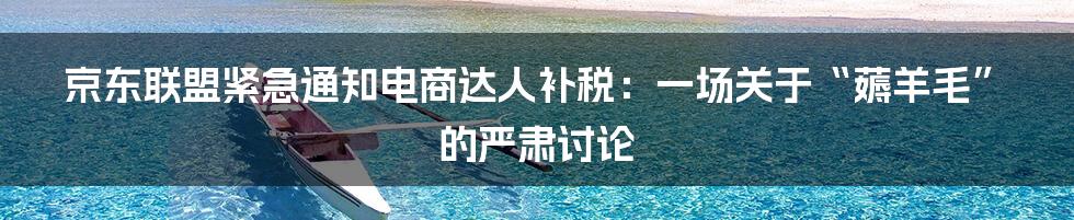 京东联盟紧急通知电商达人补税:一场关于“薅羊毛”的严肃讨论