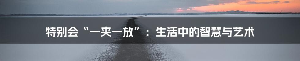 特别会“一夹一放”：生活中的智慧与艺术