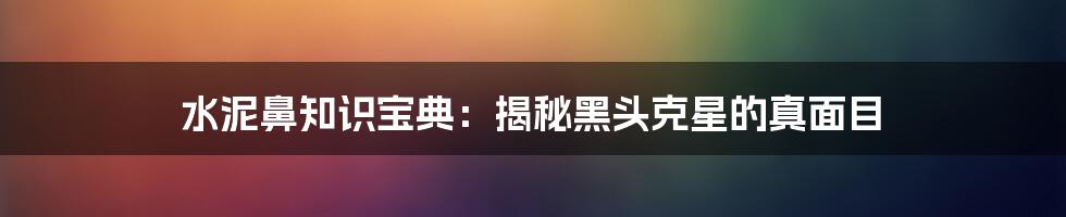 水泥鼻知识宝典:揭秘黑头克星的真面目