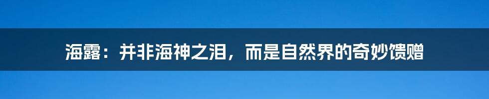 海露:并非海神之泪,而是自然界的奇妙馈赠