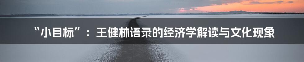 “小目标”:王健林语录的经济学解读与文化现象