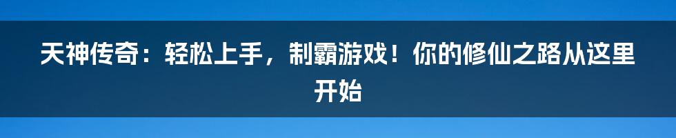 天神传奇:轻松上手,制霸游戏!你的修仙之路从这里开始