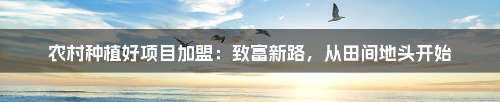 农村种植好项目加盟:致富新路,从田间地头开始