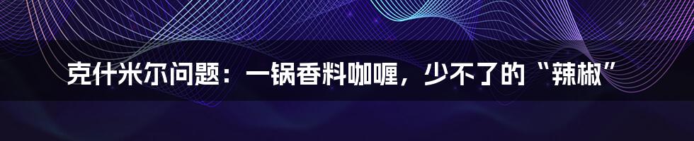 克什米尔问题:一锅香料咖喱,少不了的“辣椒”