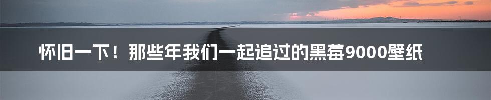 怀旧一下!那些年我们一起追过的黑莓9000壁纸