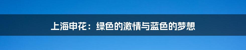 上海申花:绿色的激情与蓝色的梦想