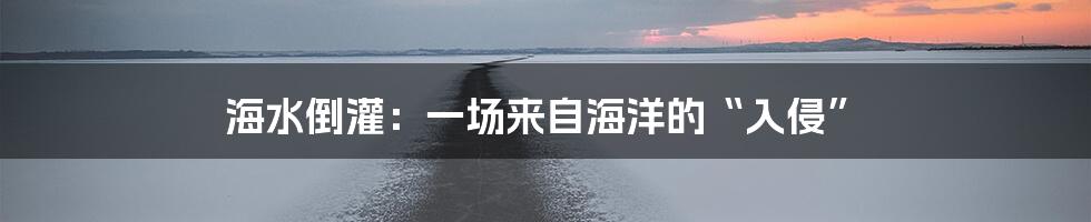 海水倒灌:一场来自海洋的“入侵”
