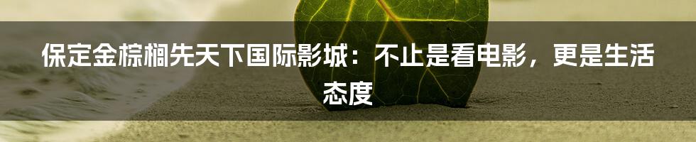 保定金棕榈先天下国际影城:不止是看电影,更是生活态度