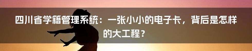 四川省学籍管理系统:一张小小的电子卡,背后是怎样的大工程?