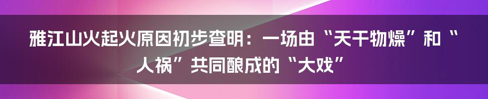 雅江山火起火原因初步查明:一场由“天干物燥”和“人祸”共同酿成的“大戏”