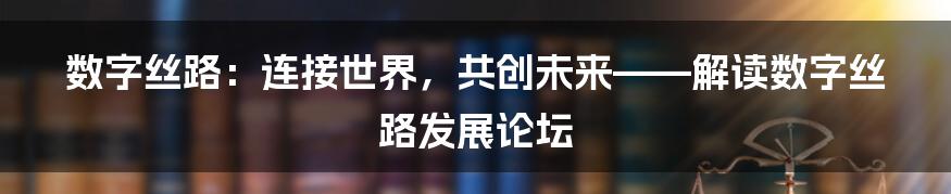 数字丝路：连接世界，共创未来——解读数字丝路发展论坛
