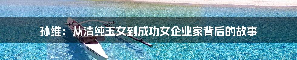 孙维:从清纯玉女到成功女企业家背后的故事