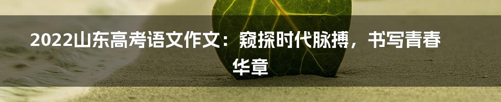 2022山东高考语文作文:窥探时代脉搏,书写青春华章