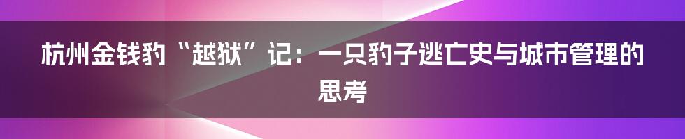 杭州金钱豹“越狱”记：一只豹子逃亡史与城市管理的思考