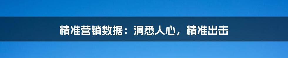 精准营销数据:洞悉人心,精准出击