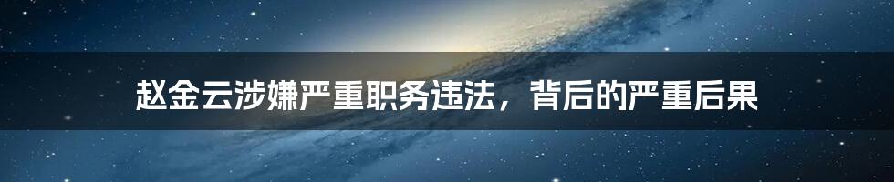 赵金云涉嫌严重职务违法，背后的严重后果