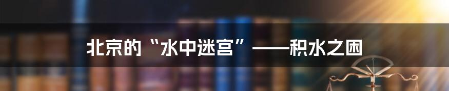 北京的“水中迷宫”——积水之困