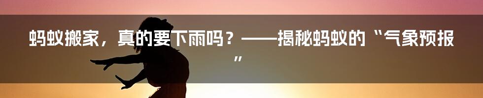 蚂蚁搬家,真的要下雨吗?——揭秘蚂蚁的“气象预报”