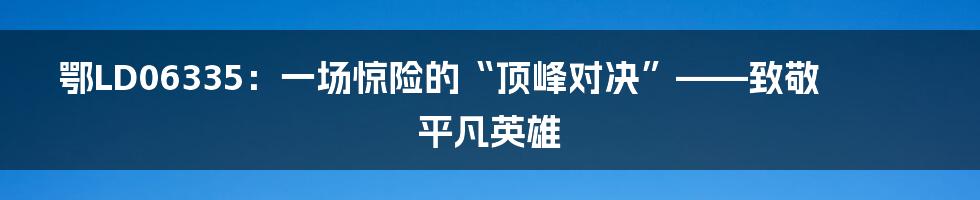 鄂LD06335:一场惊险的“顶峰对决”——致敬平凡英雄