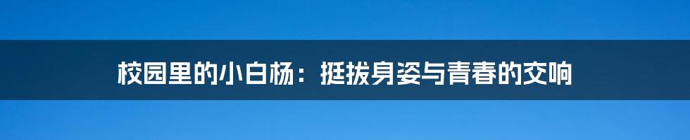 校园里的小白杨:挺拔身姿与青春的交响