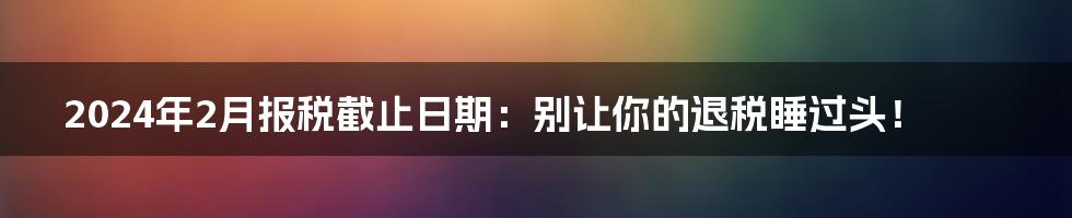 2024年2月报税截止日期:别让你的退税睡过头!