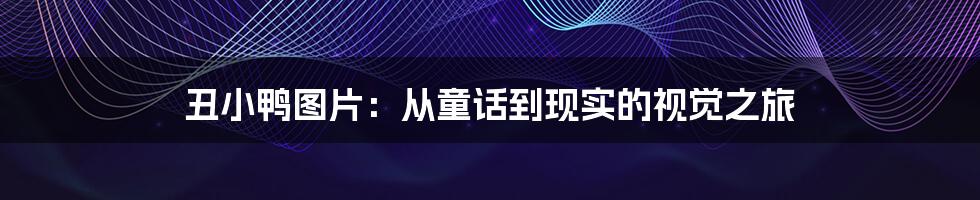 丑小鸭图片:从童话到现实的视觉之旅