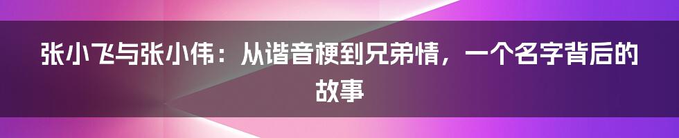 张小飞与张小伟:从谐音梗到兄弟情,一个名字背后的故事