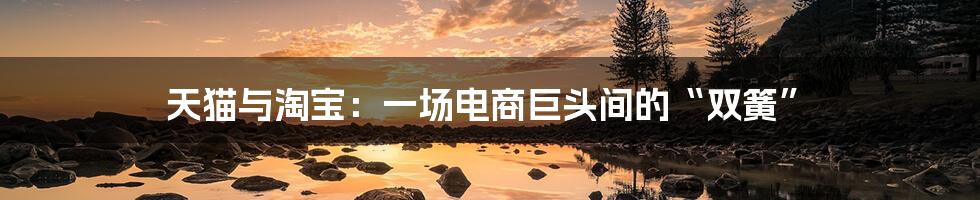 天猫与淘宝:一场电商巨头间的“双簧”