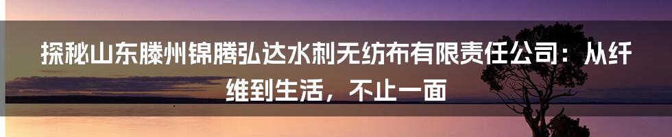 探秘山东滕州锦腾弘达水刺无纺布有限责任公司:从纤维到生活,不止一面
