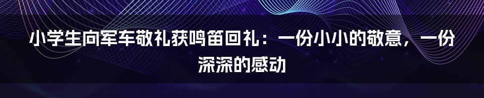 小学生向军车敬礼获鸣笛回礼:一份小小的敬意,一份深深的感动