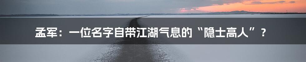 孟军:一位名字自带江湖气息的“隐士高人”?