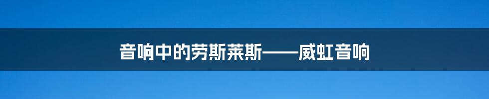 音响中的劳斯莱斯——威虹音响
