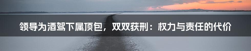 领导为酒驾下属顶包，双双获刑：权力与责任的代价