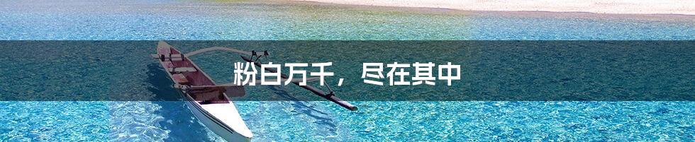 粉白万千,尽在其中