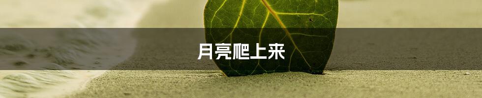月亮爬上来