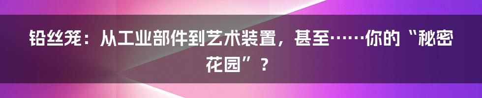 铅丝笼:从工业部件到艺术装置,甚至……你的“秘密花园”?