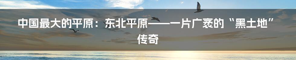 中国最大的平原:东北平原——一片广袤的“黑土地”传奇