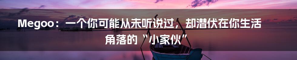 Megoo：一个你可能从未听说过，却潜伏在你生活角落的“小家伙”