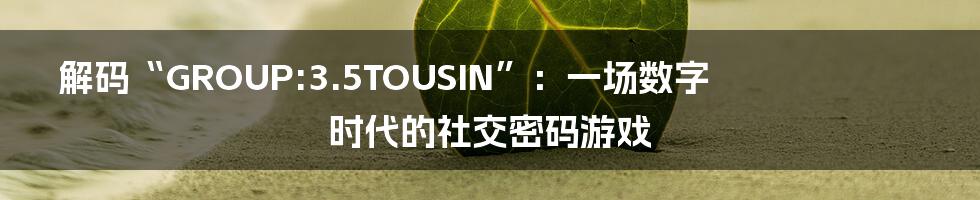 解码“GROUP:3.5TOUSIN”:一场数字时代的社交密码游戏