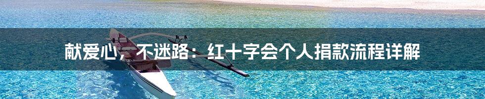 献爱心,不迷路:红十字会个人捐款流程详解