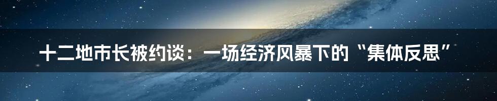 十二地市长被约谈:一场经济风暴下的“集体反思”