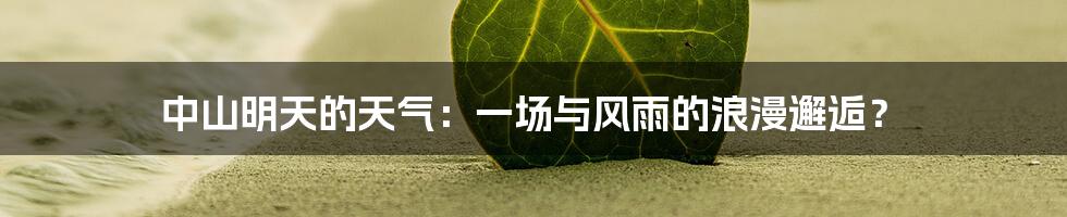 中山明天的天气:一场与风雨的浪漫邂逅?